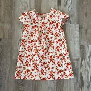 Harper Canyon Dress 18m